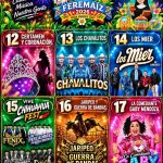 feremaiz 2026 villa juarez