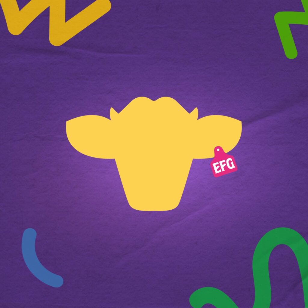 expo feria guadalupe 2026