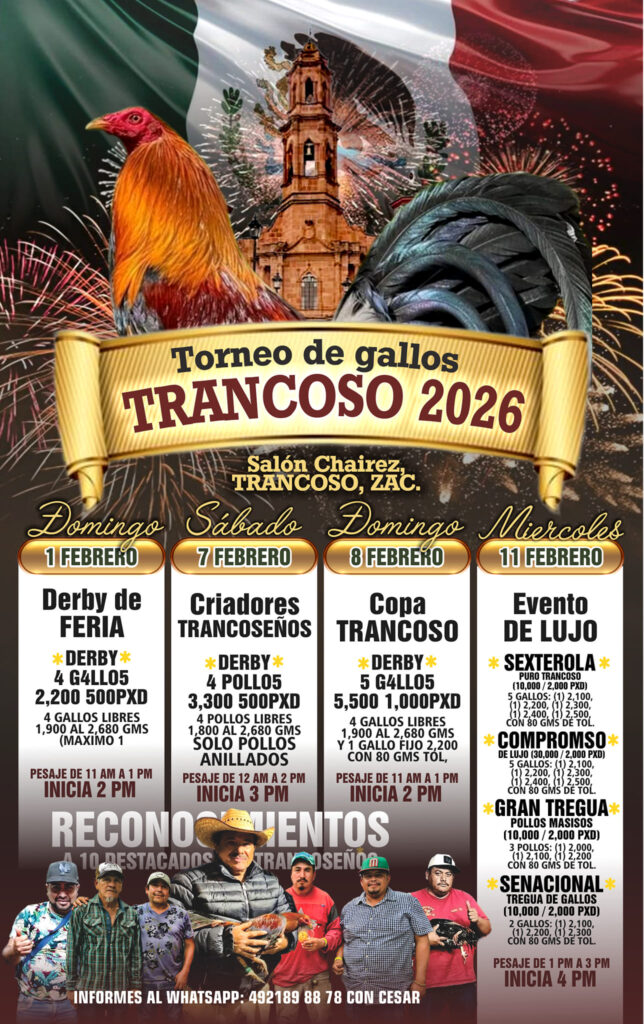 feria trancoso 2026 gallos