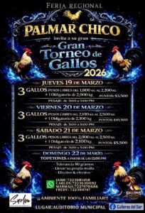 gallos feria palmar chico 2026