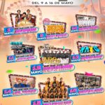 feria mineral de pozos 2026