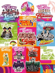 artistas feria tepetongo 2026