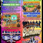 programa feria san pedro sochiapam 2026
