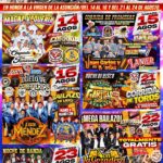 fiesta patronal bokoba 2026